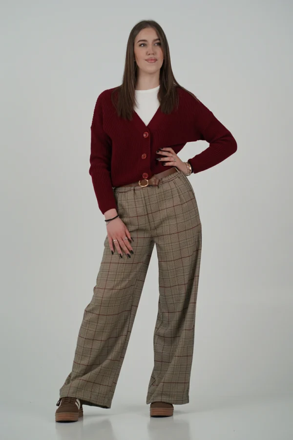 Pantalone Palazzo Galles - Riga Vinaccia