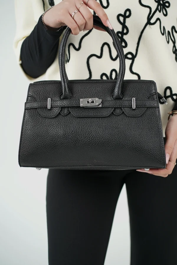 Borsa Birkin - immagine 3
