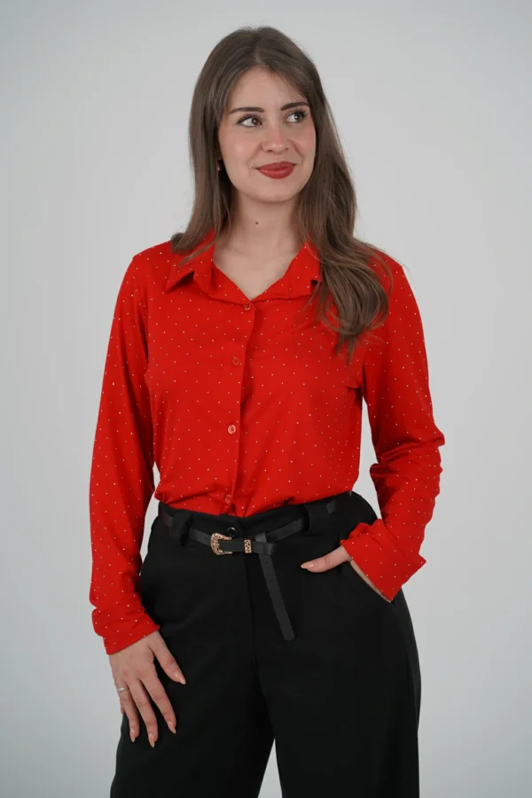 Camicia Classica Felpatina con Strass ✨