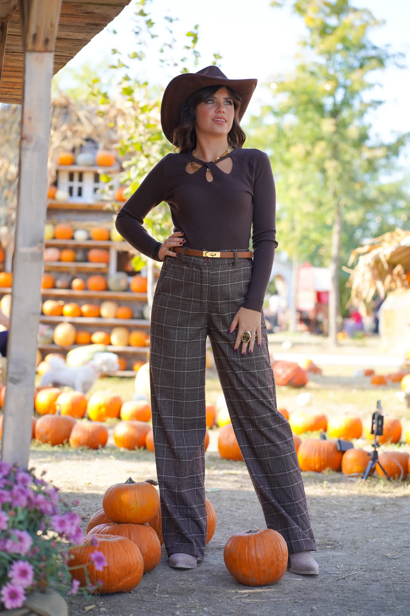 Pantalone Edimburgo - immagine 9